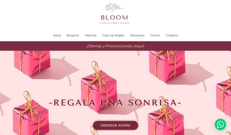 Captura de pantalla 2021-05-18 a la(s) 14.37.24